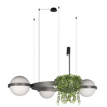 10121/3 Dark grey Подвесной светильник LOFT IT Jardin - Loft It