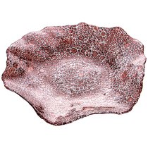 Блюдо Galaxy Brown 21Cm Без Упаковки