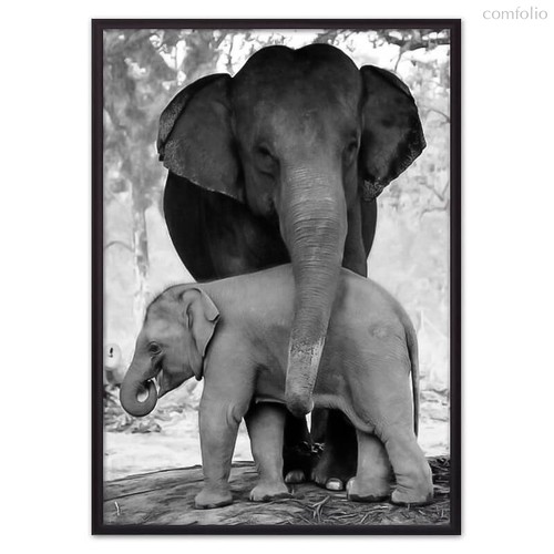 Слониха с детенышем, 40x60 см - Dom Korleone