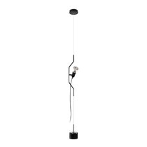 10346/1 Black Подвесной светильник LOFT IT Parentesi - Loft It