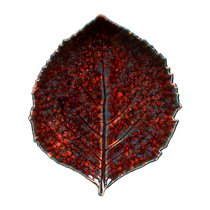 Тарелка лист Riviera Vigne VEP221-VGN (VEP221-03118Z) - Costa Nova