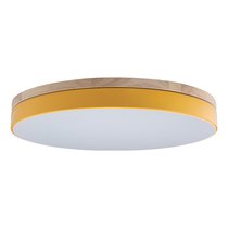 10001/36 Yellow Потолочный светильник LOFT IT Axel - Loft It
