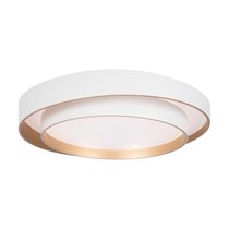 Потолочный светильник Freya FR6085CL-L72WG - Freya