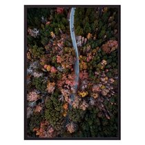 Осенний лес с высоты, 40x60 см - Dom Korleone