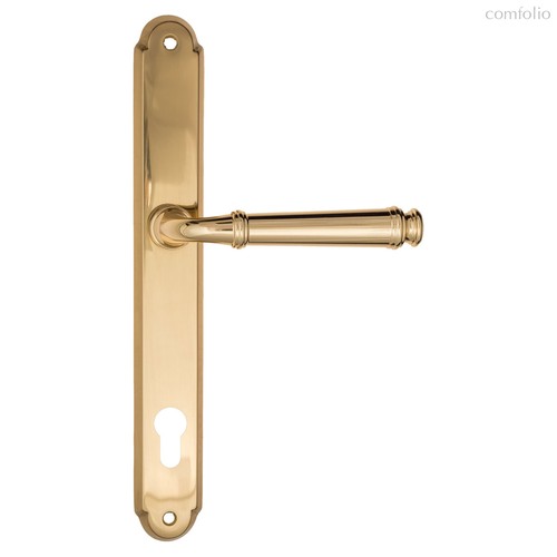 Дверная ручка на планке Fratelli Cattini "FARFALLA" CYL PL01-OLV полированная латунь - Fratelli Cattini