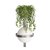 10121W/B Dark grey Настенный светильник LOFT IT Jardin - Loft It