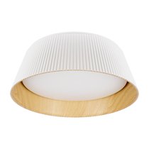 10224 White Потолочный светильник LOFT IT Evans - Loft It