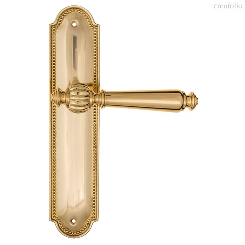 Дверная ручка на планке Fratelli Cattini MARANI PL248-OLV полированная латунь - Fratelli Cattini