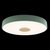 10003/24 Green Потолочный светильник LOFT IT Axel - Loft It