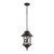 100021P Уличный подвесной светильник LOFT IT Prato - Loft It