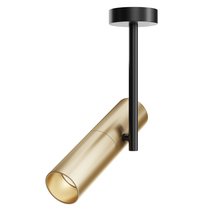 Потолочный светильник Элти / Elti 1*GU10 10 Вт - Maytoni