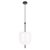 10223/D White Подвесной светильник LOFT IT Venice - Loft It