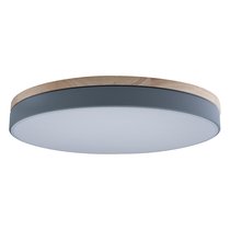 10001/36 Grey Потолочный светильник LOFT IT Axel - Loft It