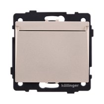 Карточный выключатель механический, золотой Kollinger REA-041GD для Aspekt, Eleganz, Reflex - Kollinger