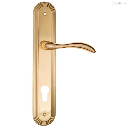 Дверная ручка на планке Fratelli Cattini LUCCIA CYL PL288-OLV полированная латунь - Fratelli Cattini