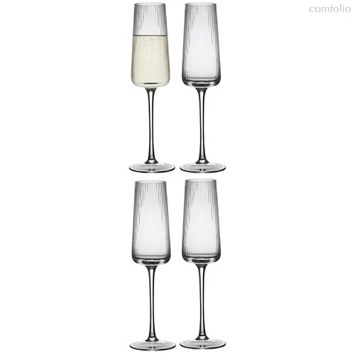 Набор бокалов для шампанского Celebrate, 240 мл, 4 шт. - Liberty Jones