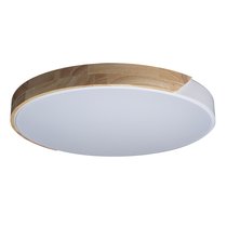 10004/36 White Потолочный светильник LOFT IT Axel - Loft It