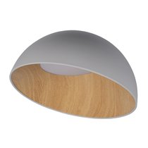 10197/500 Grey Потолочный светильник LOFT IT Egg - Loft It