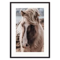 Скандинавская лошадь, 21x30 см - Dom Korleone