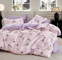 Комплект постельного белья CA-7-748 Дуэт Сатин печатный с наволочками 70х70х2шт.+ 50х70х2шт. - АльВиТек