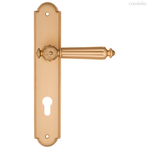 Дверная ручка на планке Fratelli Cattini TORCELLO CYL PL257-BS матовая латунь - Fratelli Cattini