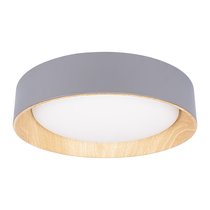 10202 Grey Потолочный светильник LOFT IT Coin - Loft It