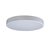 10002/24 White Потолочный светильник LOFT IT Axel - Loft It