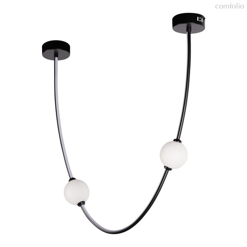 10242/600 Black Подвесной светильник LOFT IT Embrace - Loft It