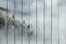 Лес в тумане 30х40 см, 30x40 см - Dom Korleone