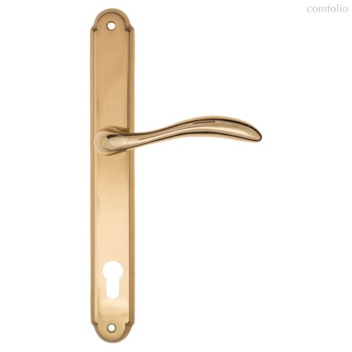 Дверная ручка на планке Fratelli Cattini "LUCCIA" CYL PL01-OLV полированная латунь - Fratelli Cattini