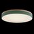 10001/36 Green Потолочный светильник LOFT IT Axel - Loft It