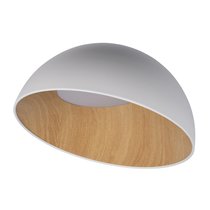 10197/500 White Потолочный светильник LOFT IT Egg - Loft It