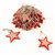 Украшения подвесные Christmas Stars, деревянные, в сетке, 30 шт. - EnjoyMe