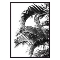 Пальмовые листья, 50x70 см - Dom Korleone