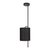 10253P Black Подвесной светильник LOFT IT Ritz - Loft It