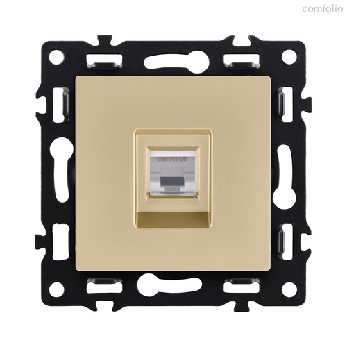 Розетка Ethernet RJ45 Cat.6, золотой Kollinger Asthetik AS-017GD - Kollinger