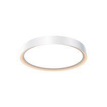 Потолочный светильник Maytoni MOD426CL-L32WK - Maytoni