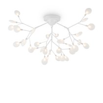 Потолочный светильник Freya Florencia FR5049CL-36W1 - Freya