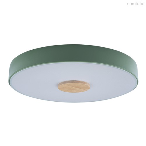 10003/24 Green Потолочный светильник LOFT IT Axel - Loft It