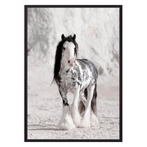 Ирландская лошадь, 40x60 см - Dom Korleone