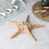 Блюдо для подачи 28*28 см h6 см 100 мл Звезда Pearl Starfish Frutti di Mare P.L. - P.L. Proff Cuisine