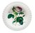 Тарелка суповая 24 см Роза Редаут - Roy Kirkham