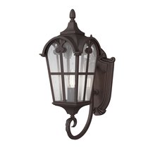 Настенный светильник (бра) Maytoni Outdoor Albion O413WL-01BZ1 - Maytoni