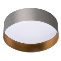 Накладные светильники: Потолочный светодиодный светильник RIFA LED17,5W WW GR/G - Kanlux
