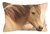 Декоративный чехол "Horse", 01-7983/1, 31х50 см, цвет коричневый, 31x50 - Altali