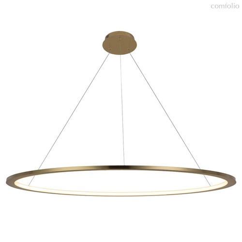 10014XXL Подвесной светильник LOFT IT Ring - Loft It