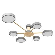 10316/6 Grey Потолочный светильник LOFT IT Sunrise - Loft It