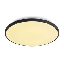 Потолочный светильник Freya FR6211CL-L24B - Freya