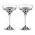 Набор креманок для шампанского Waterford Миксолоджи 170 мл, 2 шт - Waterford