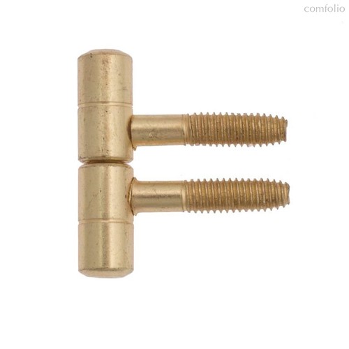 150LAL.01 Петля ввертная Ø14 с плоской пешкой полированная латунь (38 kg) - La Florida